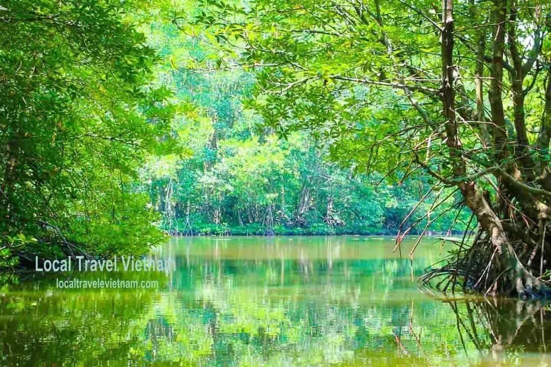 Best time of year to visit Saigon — ảnh 4